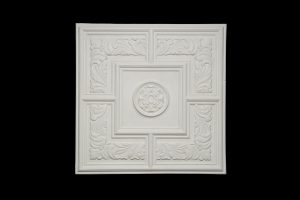 Ceiling Panels