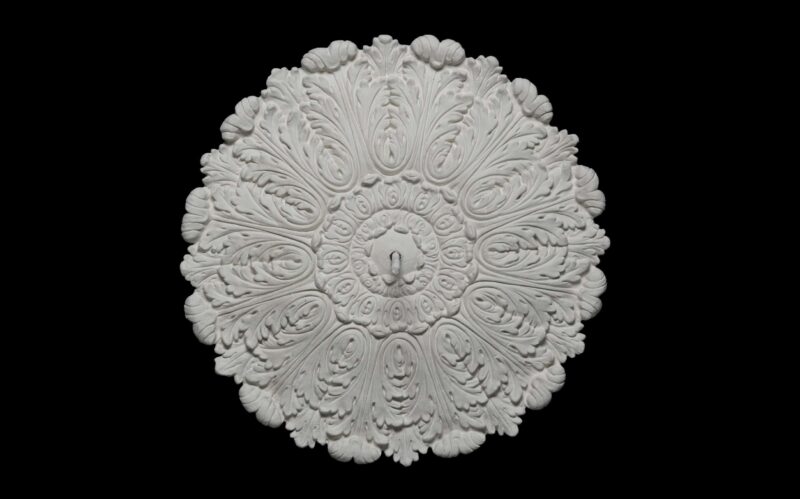 CCR-99P Fancy Leaf Curled Plain Rose