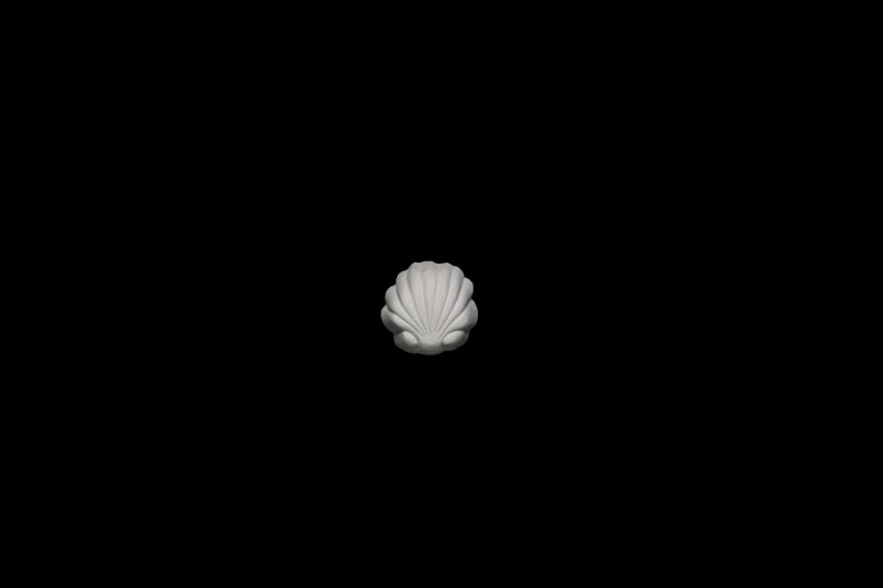 Shell-01 Clam Shell