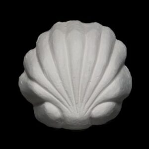 Shell-01 Clam Shell