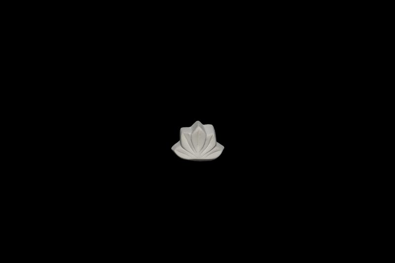 Shell-04 Tulip Like Shell