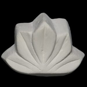 Shell-04 Tulip Like Shell