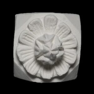 Shell-07 Ten Petal Shell