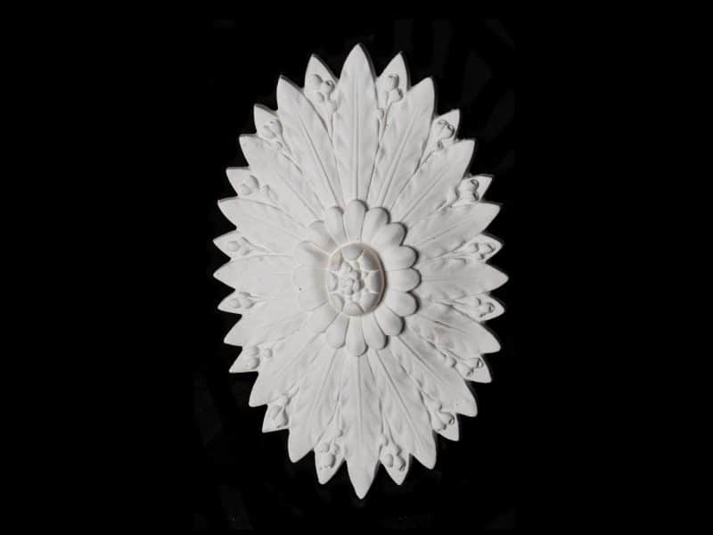 R494S Seeds and Gumnut Waterleaf Oval Rose