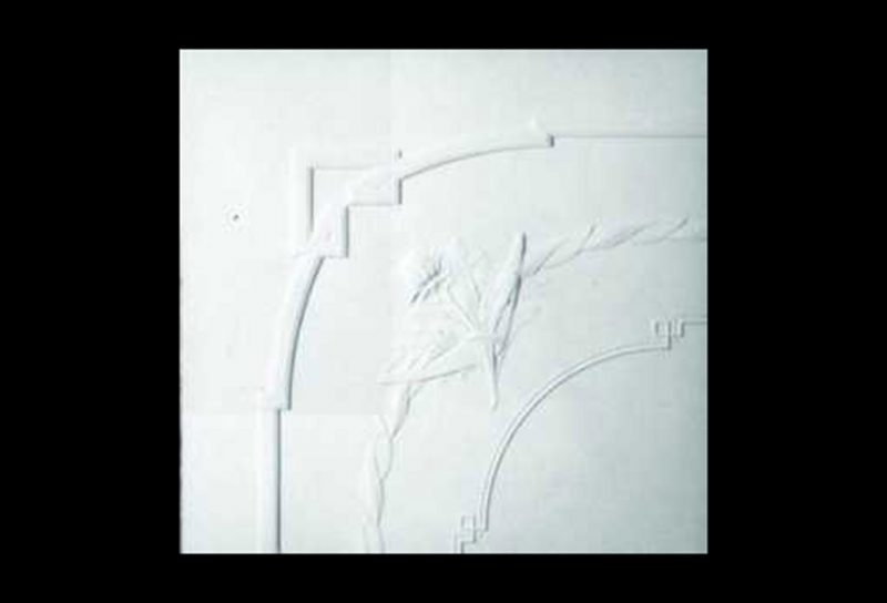 P62 - Waratah Leaf Panel