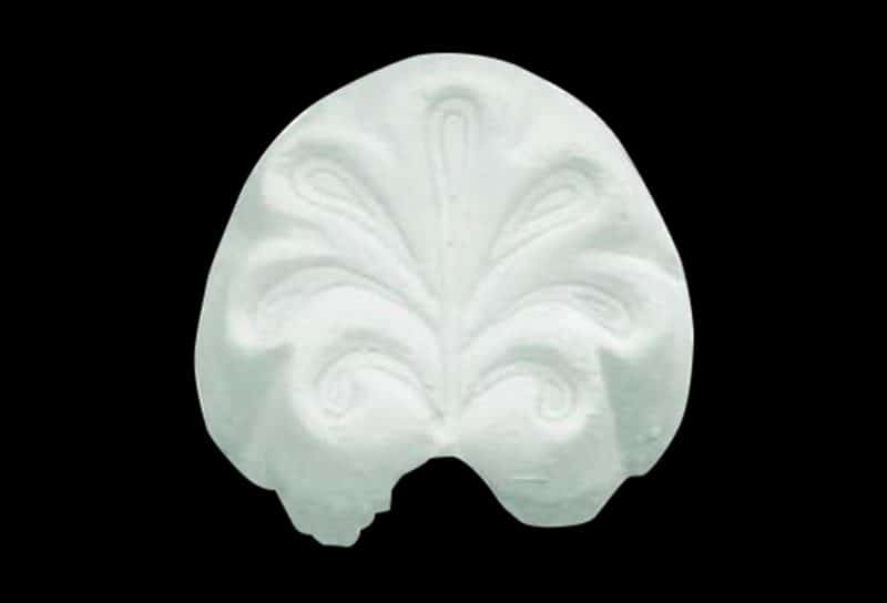S04 - Shell