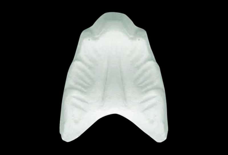 S08 - Shell