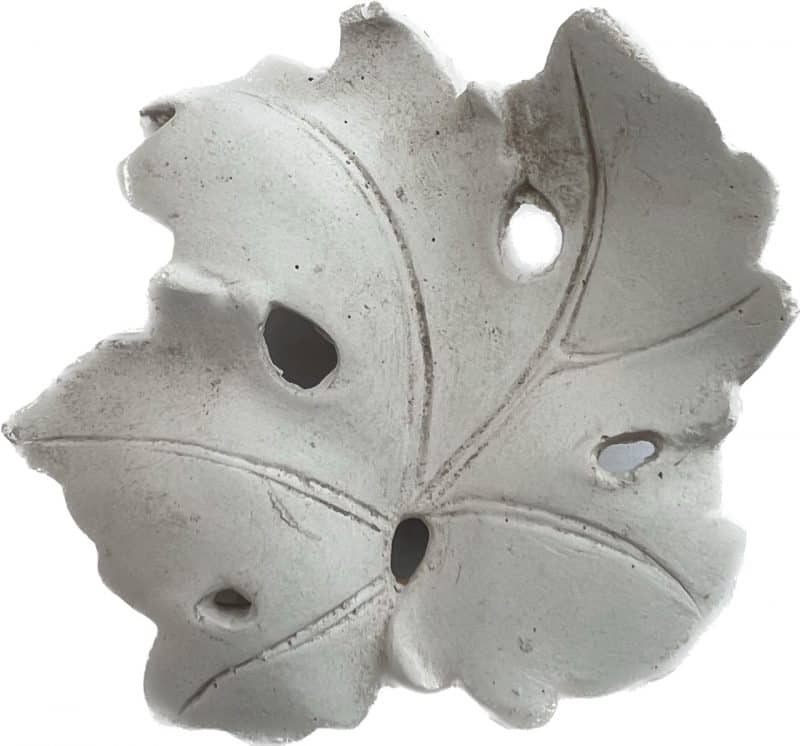 L99 Clare Grapevine Leaf