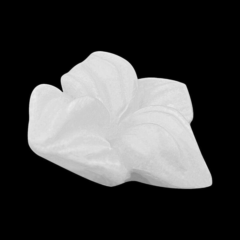 F06 Four Petal Orchid Flower - Image 4