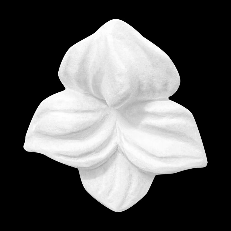 F06 Four Petal Orchid Flower