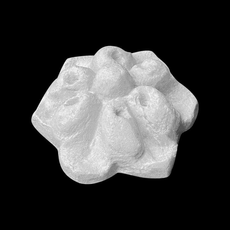 F32 Flower - Image 2